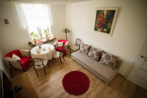Гостиница Przyjazne mieszkanie na Starym Miescie  Гнезно